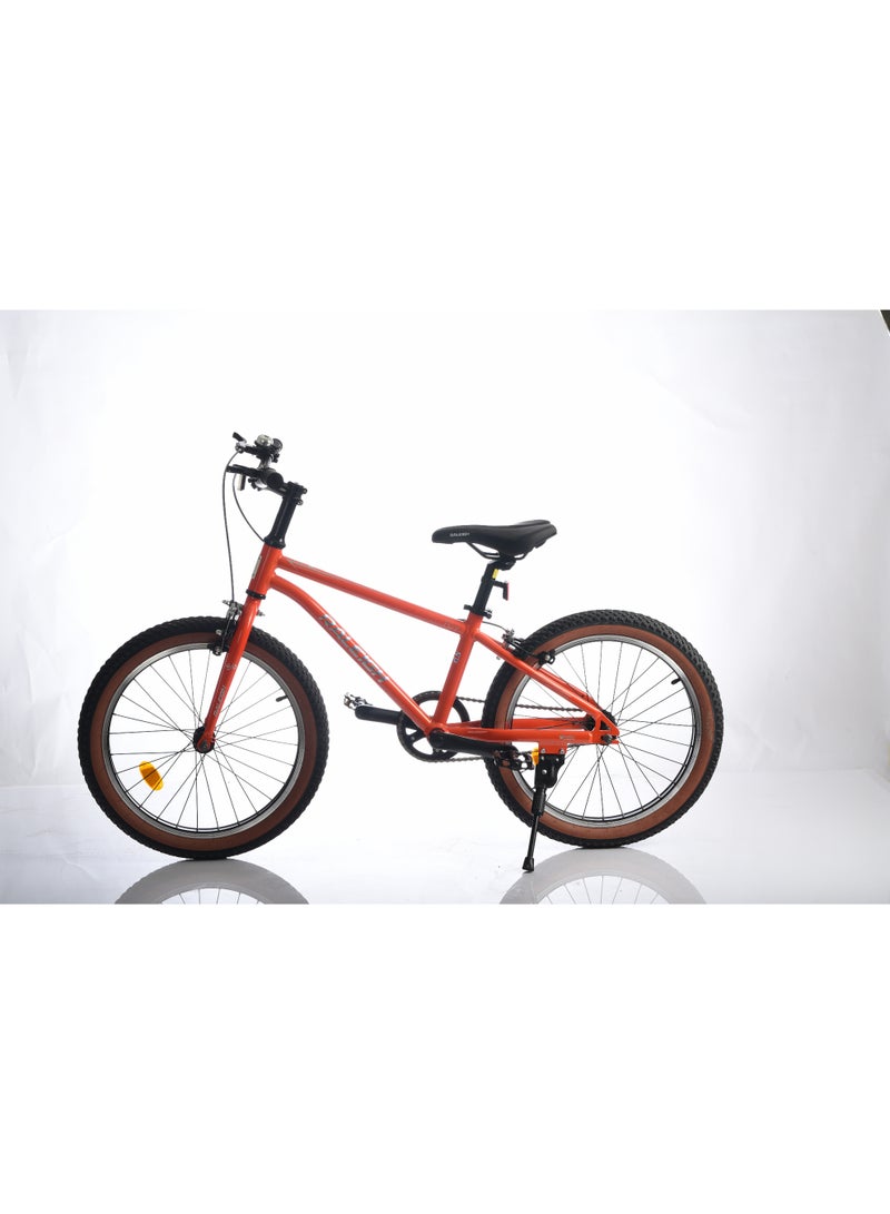 Raleigh POP 20 Inch alloy frame single speed - Image 1